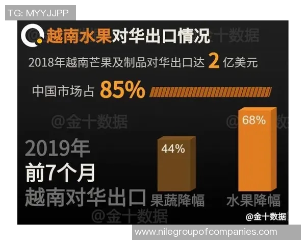 菲律宾与越南足球赛比分预测及推荐分析详解