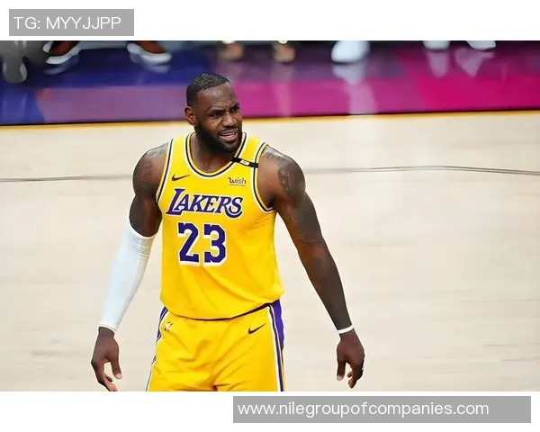 2014至2015赛季湖人队的辉煌与挑战全景回顾